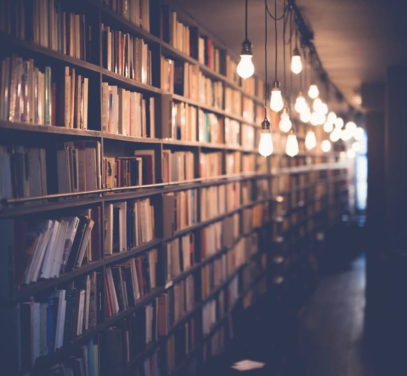 School library shelves and learning resources