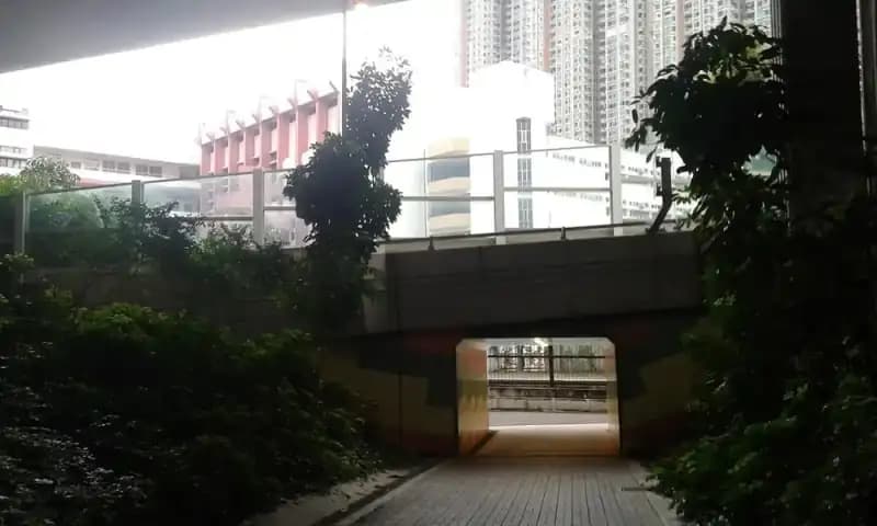Illustrative campus setting for Escuela Internacional Sampedrana in San Pedro Sula