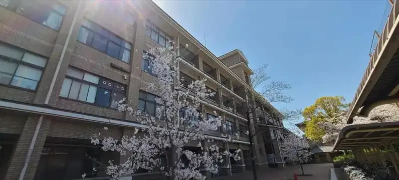 Illustrative campus setting for Sacred Heart College in Yaounde