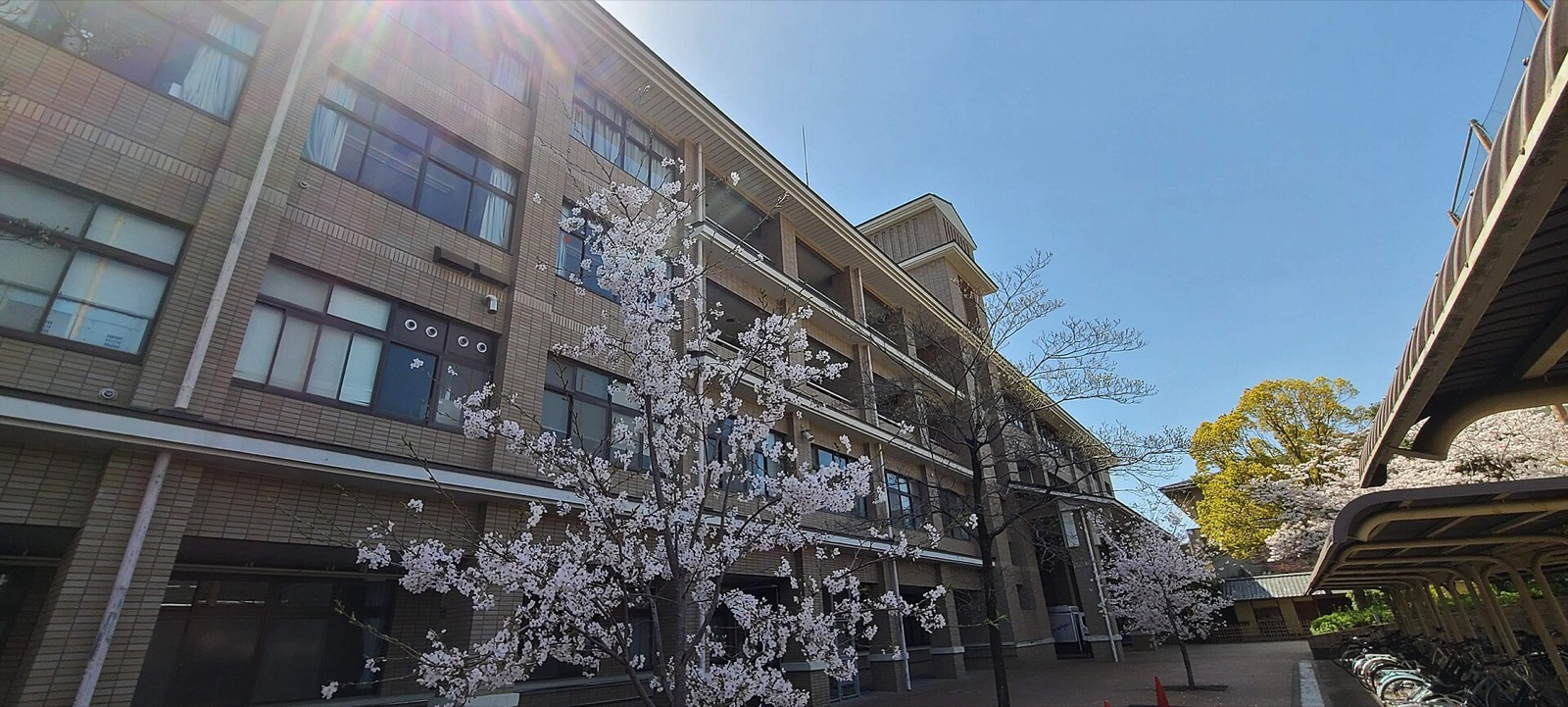 Sacred Heart College campus in Yaounde